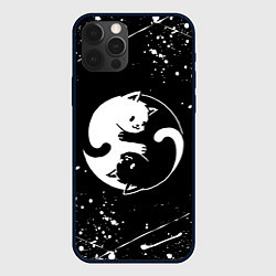 Чехол для iPhone 12 Pro ИНЬ ЯНЬ КОТИКИ БРЫЗГИ И НИЧЕГО ЛИШНЕГО, цвет: 3D-черный