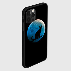 Чехол для iPhone 12 Pro Силуэт кота на фоне синей луны, цвет: 3D-черный — фото 2
