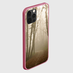 Чехол для iPhone 12 Pro Туманный лес на восходе, цвет: 3D-малиновый — фото 2