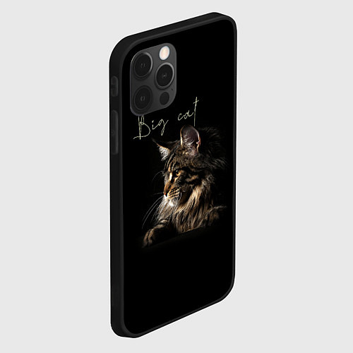Чехол iPhone 12 Pro Big cat Maine Coon / 3D-Черный – фото 2