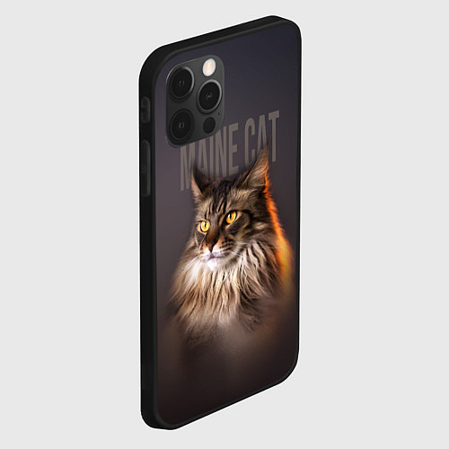 Чехол iPhone 12 Pro Maine cat / 3D-Черный – фото 2