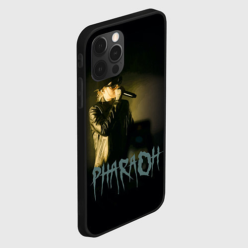 Чехол iPhone 12 Pro PHARAOHHH / 3D-Черный – фото 2