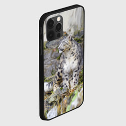 Чехол для iPhone 12 Pro Снежный барс среди скал, цвет: 3D-черный — фото 2