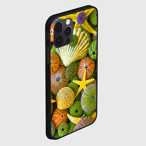 Чехол iPhone 12 Pro Композиция из морских звёзд и ракушек / 3D-Черный – фото 2
