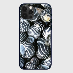 Чехол iPhone 12 Pro Паттерн из океанских ракушек