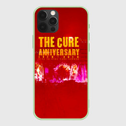 Чехол для iPhone 12 Pro Anniversary: 1978 - 2018 Live In Hyde Park London, цвет: 3D-салатовый