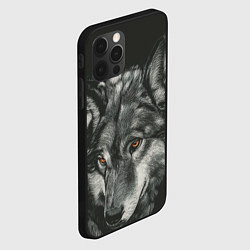Чехол для iPhone 12 Pro Серый мудрый волк, цвет: 3D-черный — фото 2