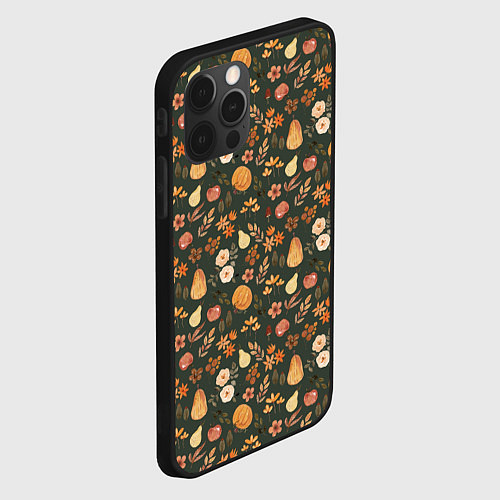 Чехол iPhone 12 Pro Осенние дары / 3D-Черный – фото 2