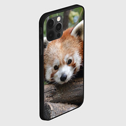 Чехол для iPhone 12 Pro Красная панда, цвет: 3D-черный — фото 2