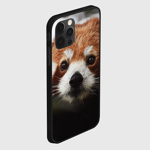 Чехол iPhone 12 Pro Малая панда / 3D-Черный – фото 2