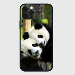 Чехол для iPhone 12 Pro Влюблённые панды, цвет: 3D-черный