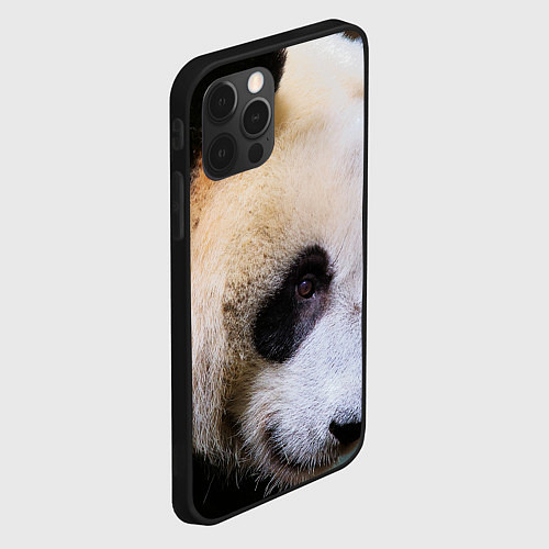 Чехол iPhone 12 Pro Загадочная панда / 3D-Черный – фото 2