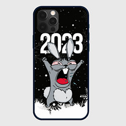 Чехол для iPhone 12 Pro Злой кролик 2023, цвет: 3D-черный