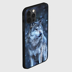 Чехол для iPhone 12 Pro Лесной волк, цвет: 3D-черный — фото 2