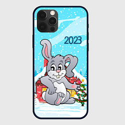 Чехол для iPhone 12 Pro Кролик 2023 новый год, цвет: 3D-черный