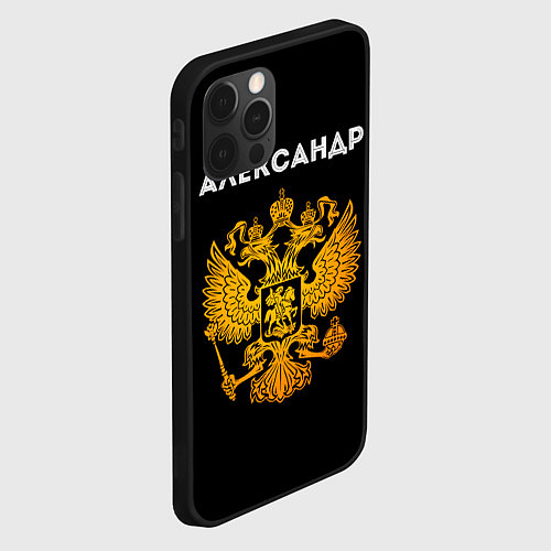 Чехол iPhone 12 Pro Александр и зологой герб РФ / 3D-Черный – фото 2