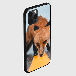 Чехол для iPhone 12 Pro Лиcа на трассе, цвет: 3D-черный — фото 2
