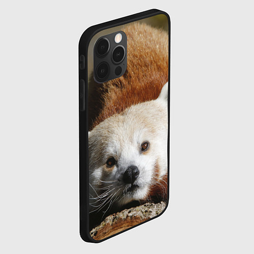 Чехол iPhone 12 Pro Красная панда ждёт / 3D-Черный – фото 2