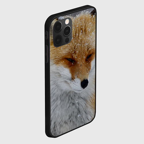 Чехол iPhone 12 Pro Лис в снегу / 3D-Черный – фото 2