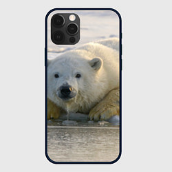 Чехол для iPhone 12 Pro Белый медведь ожидает, цвет: 3D-черный