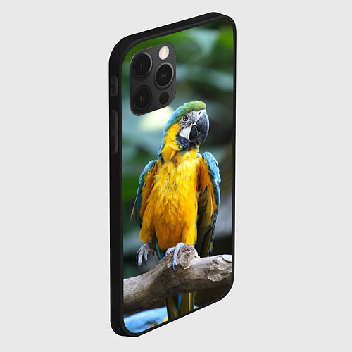 Чехол iPhone 12 Pro Красавец попугай / 3D-Черный – фото 2