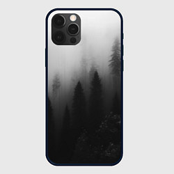 Чехол для iPhone 12 Pro Красивый туманный лес, цвет: 3D-черный