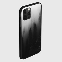 Чехол для iPhone 12 Pro Красивый туманный лес, цвет: 3D-черный — фото 2