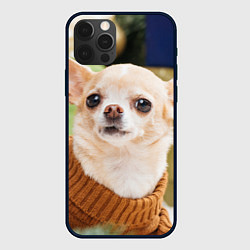 Чехол для iPhone 12 Pro Праздничный чихуахуа, цвет: 3D-черный