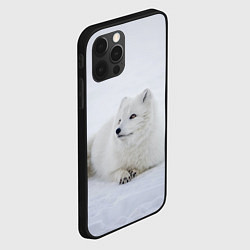 Чехол для iPhone 12 Pro Полярная лисичка, цвет: 3D-черный — фото 2