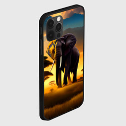 Чехол для iPhone 12 Pro Слон и рассвет в саванне, цвет: 3D-черный — фото 2