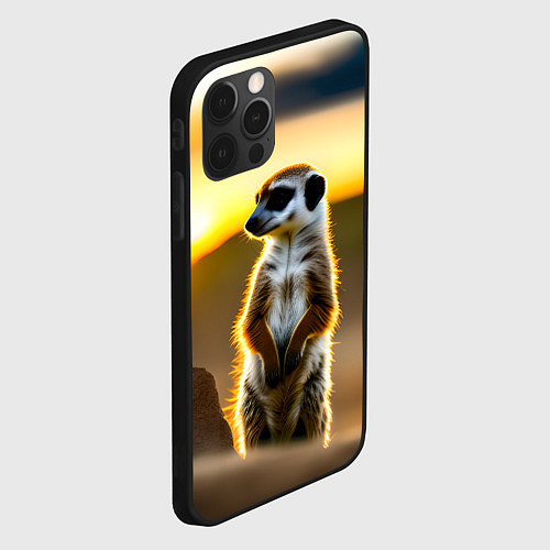 Чехол iPhone 12 Pro Сурикат на фоне рассвета / 3D-Черный – фото 2