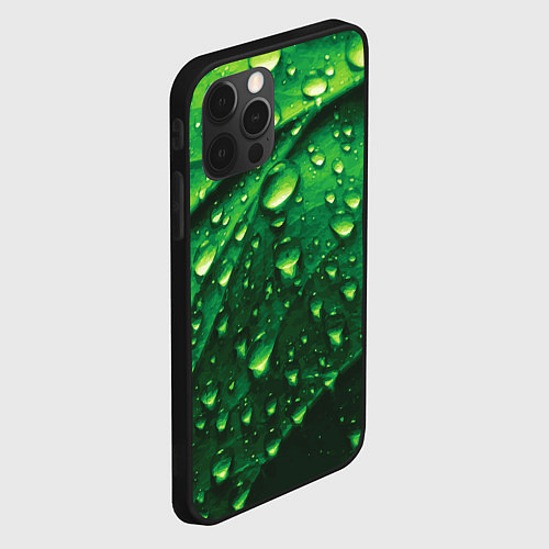 Чехол iPhone 12 Pro Утренняя роса / 3D-Черный – фото 2