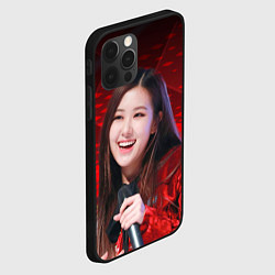 Чехол для iPhone 12 Pro Rose Blackpink red, цвет: 3D-черный — фото 2