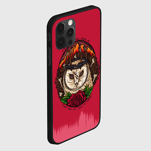 Чехол iPhone 12 Pro Bring Me The Horizon Owl / 3D-Черный – фото 2