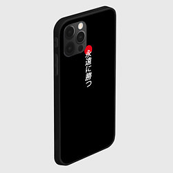 Чехол для iPhone 12 Pro Иероглифы и красное солнце, цвет: 3D-черный — фото 2