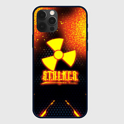 Чехол для iPhone 12 Pro Stalker броня радиоктивная, цвет: 3D-черный