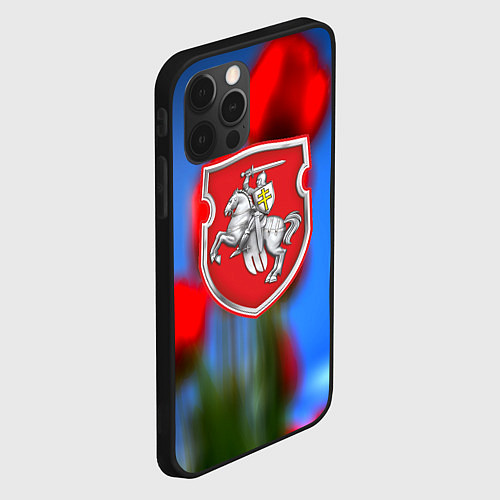 Чехол iPhone 12 Pro Belarus summer / 3D-Черный – фото 2