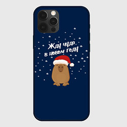 Чехол для iPhone 12 Pro Новогодняя капибара 2024, цвет: 3D-черный