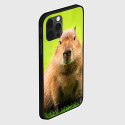 Чехол для iPhone 12 Pro Capybara on green grass, цвет: 3D-черный — фото 2