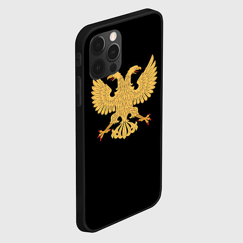 Чехол iPhone 12 Pro Двуглавый орёл символика России / 3D-Черный – фото 2