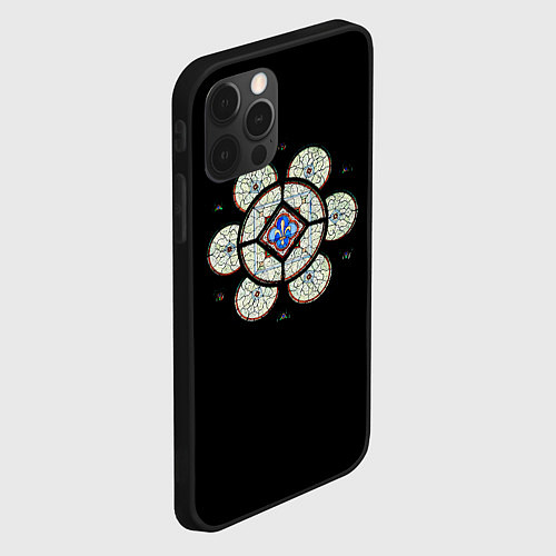 Чехол iPhone 12 Pro Готический витраж из Блуа / 3D-Черный – фото 2