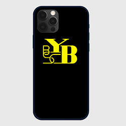 Чехол для iPhone 12 Pro Young Boys fc club, цвет: 3D-черный