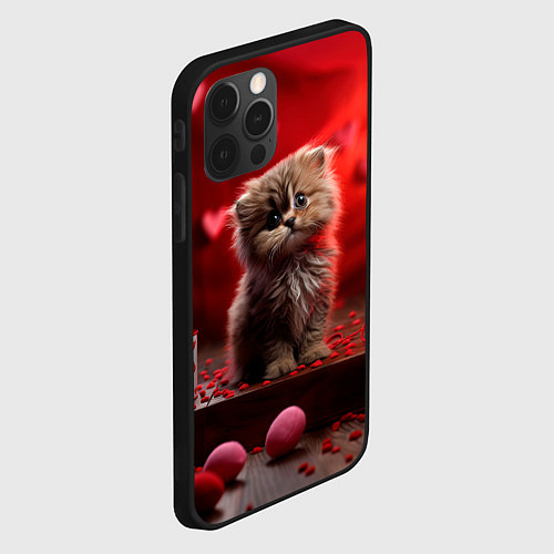 Чехол iPhone 12 Pro 14 февраля влюбленный котик / 3D-Черный – фото 2