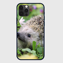 Чехол для iPhone 12 Pro Лесной ёжик в траве, цвет: 3D-черный