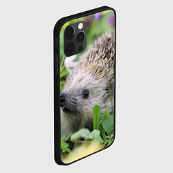 Чехол для iPhone 12 Pro Лесной ёжик в траве, цвет: 3D-черный — фото 2
