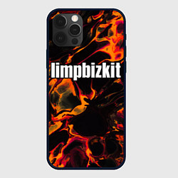 Чехол для iPhone 12 Pro Limp Bizkit red lava, цвет: 3D-черный