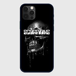 Чехол для iPhone 12 Pro Scorpions rock, цвет: 3D-черный