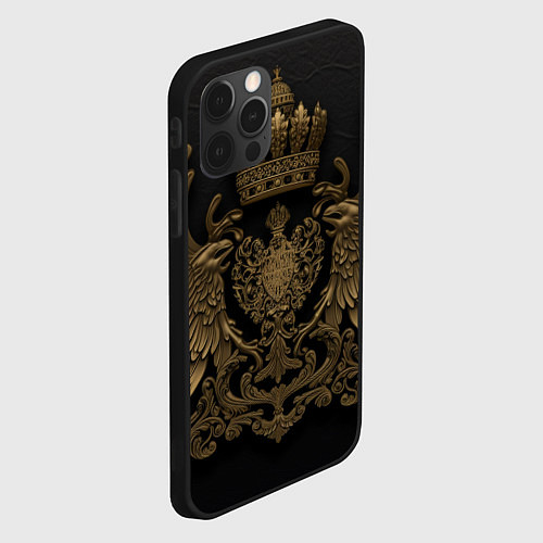 Чехол iPhone 12 Pro Золотые крылья с узорами / 3D-Черный – фото 2