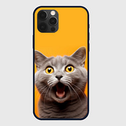 Чехол для iPhone 12 Pro Удивленный кот, цвет: 3D-черный