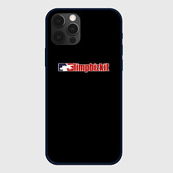 Чехол для iPhone 12 Pro Limp Bizkit logo rock, цвет: 3D-черный
